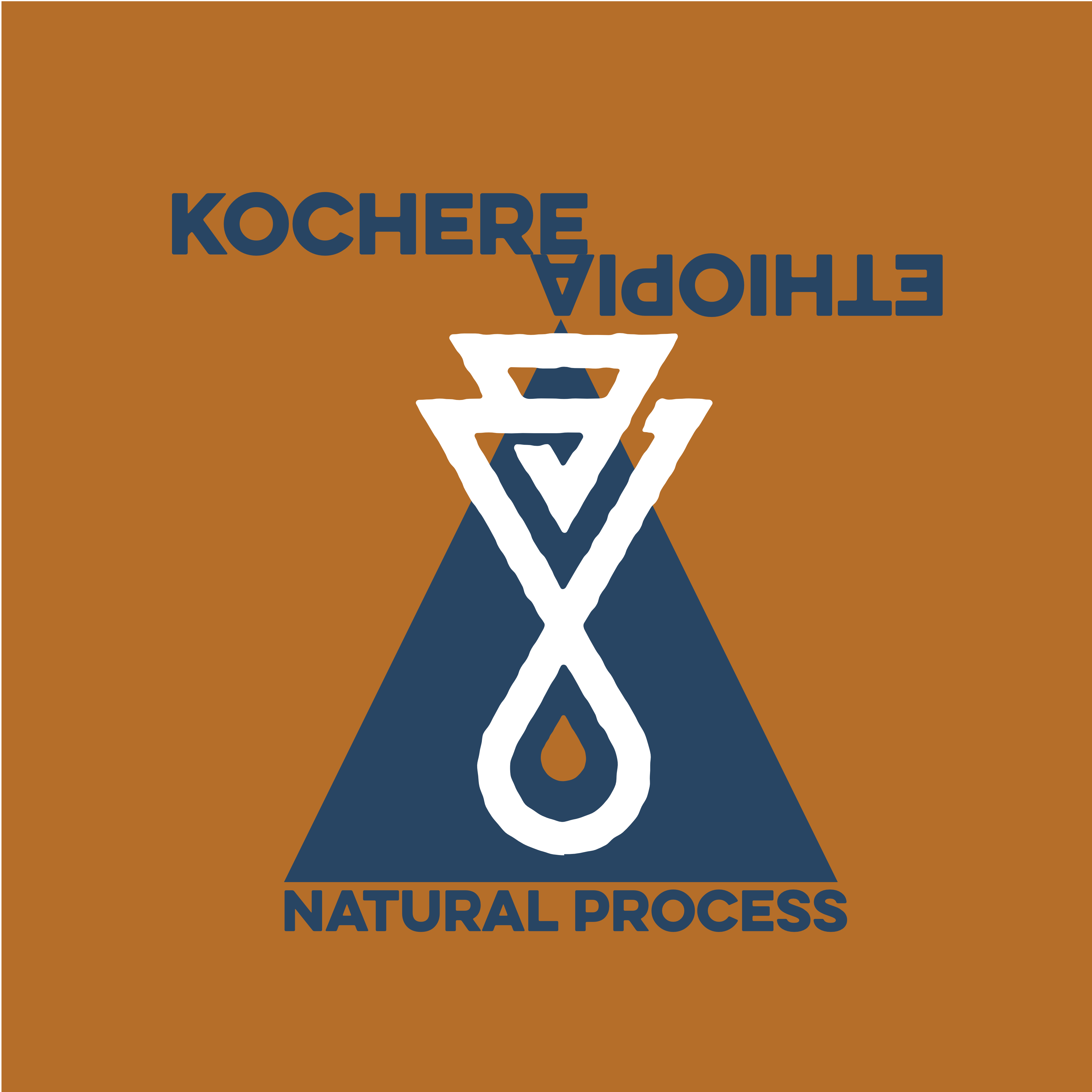 Wholesale Ethiopia Yirgacheffe - Kochere (Natural Process)