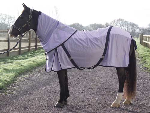 Rhinegold Fly Rug