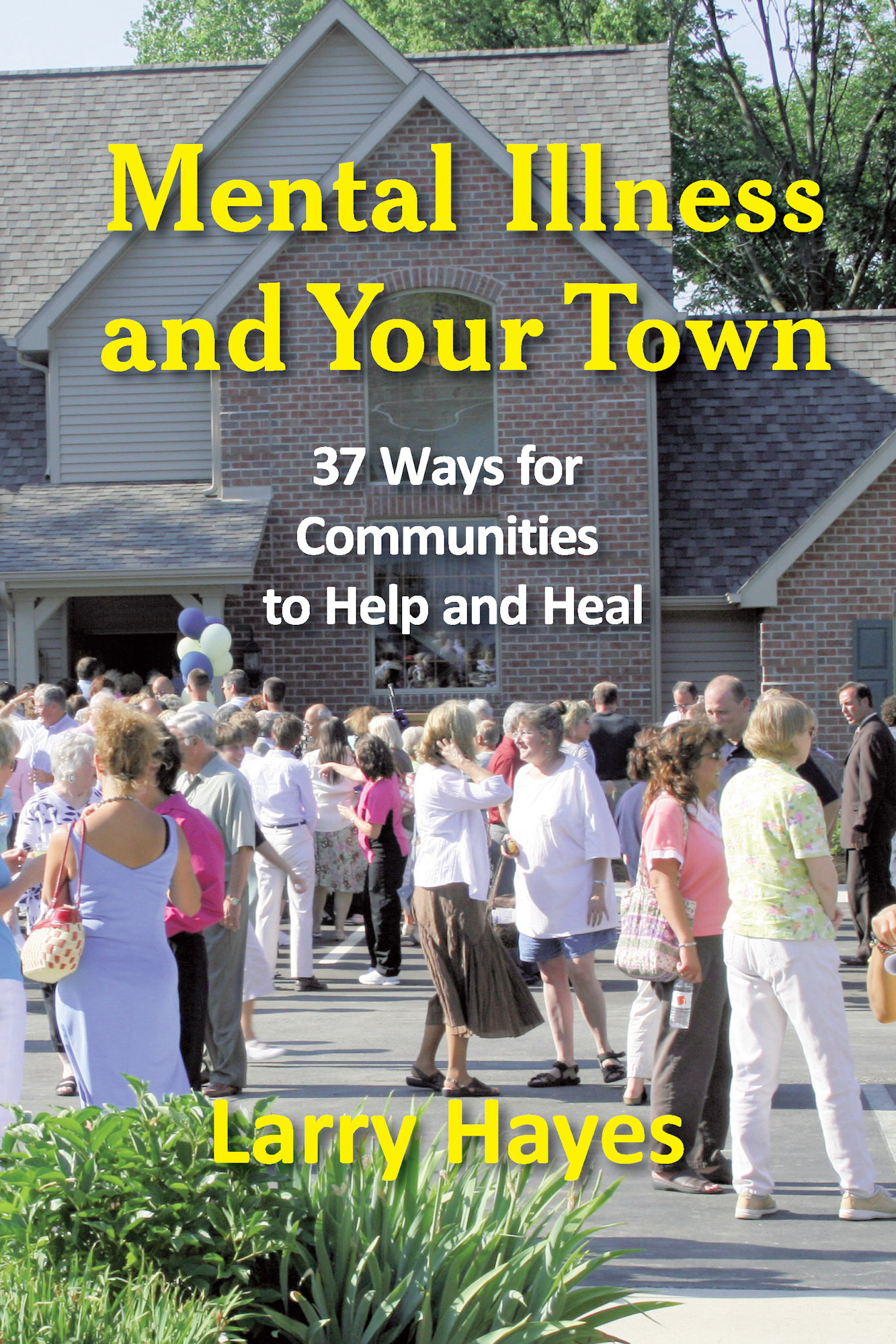 Mental Illness and Your Town: 37 Ways for Communities to Help and Heal 978-1-932690-76-7