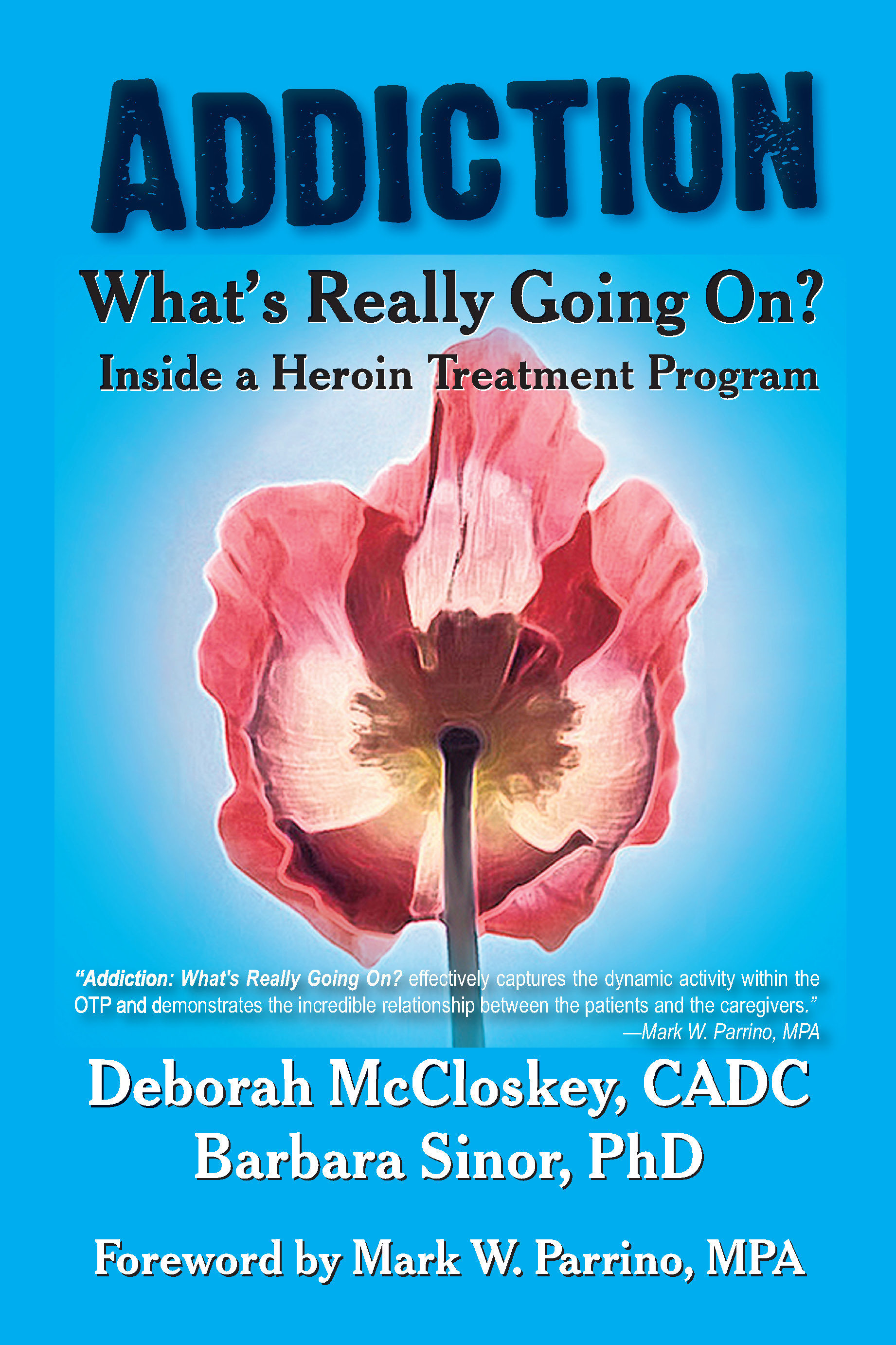 Addiction--What's Really Going on? 978-1-932690-93-4
