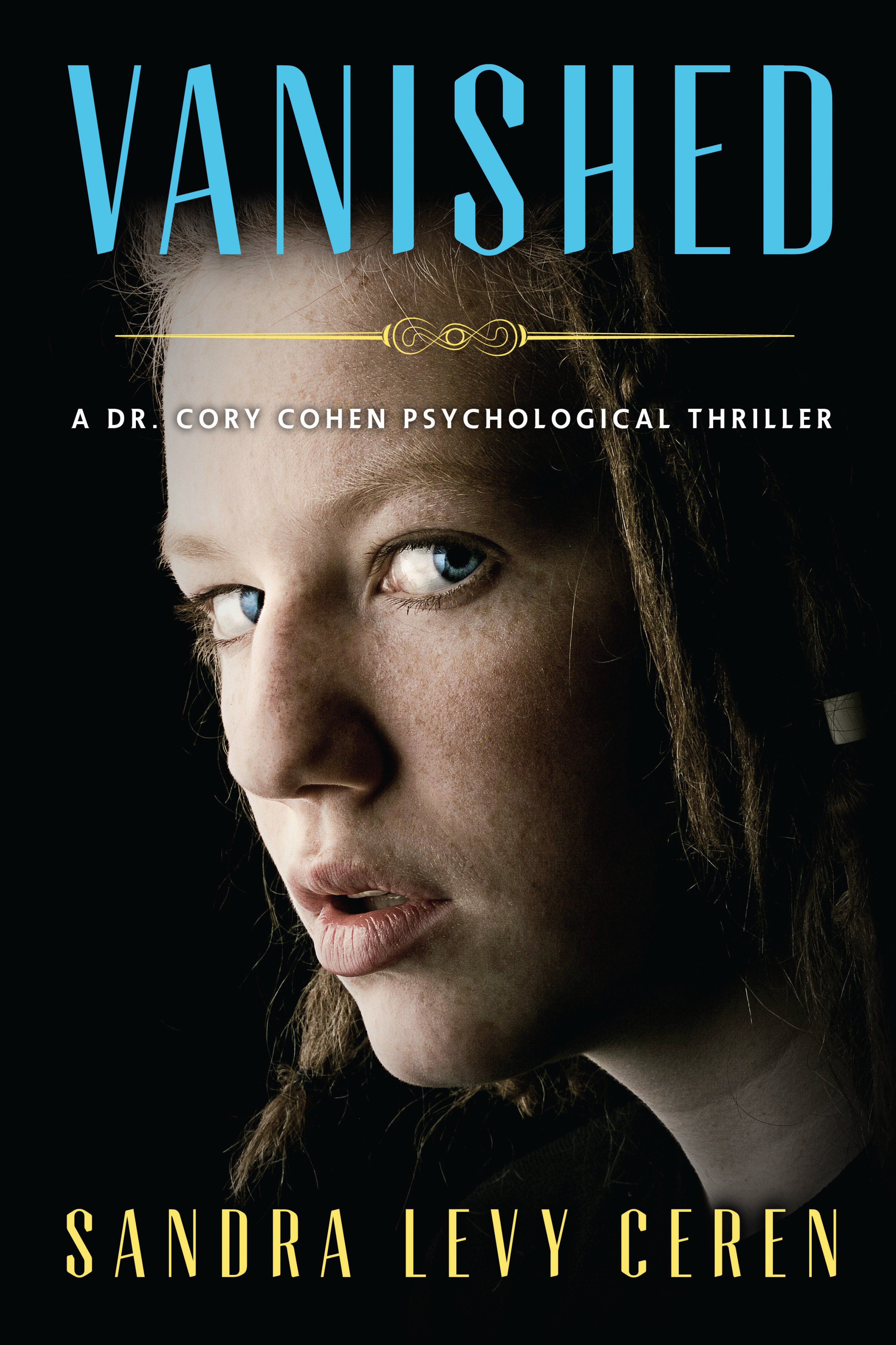 Vanished: A Dr. Cory Cohen Psychological Thriller 978-1-61599-230-0
