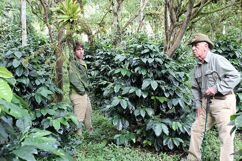 Coffee from Ecuadorian Cloud Forest - Combo Roast Whole Coffee Beans