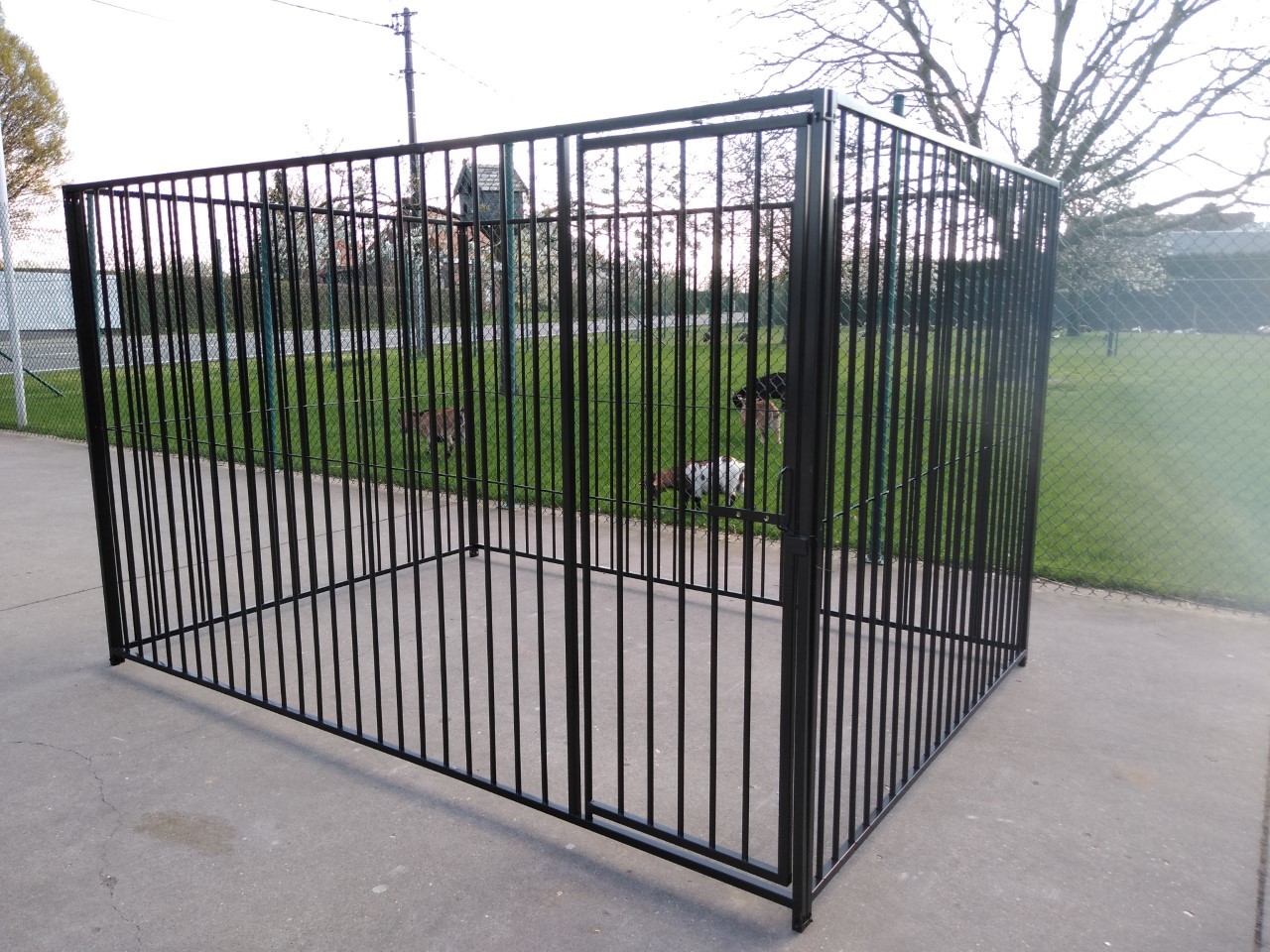 Hondenren 2 x 4 m met deur - 8 cm spijl ZWART 01166