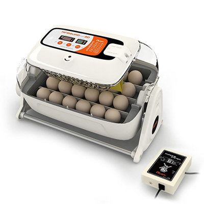Broedmachine R-com King Suro 00136