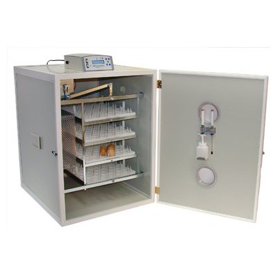 Broedmachine Fiem Neptunus 316 00155