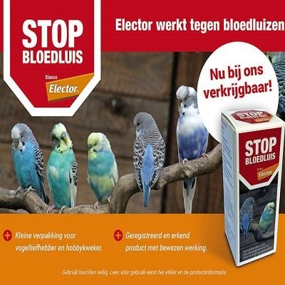 Stop bloedluis van elector 00364