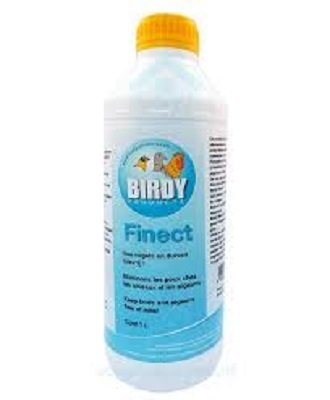 birdy Finect 00365