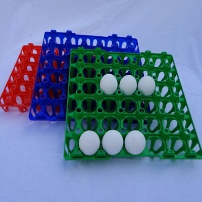 Eiertray 30 st 00400
