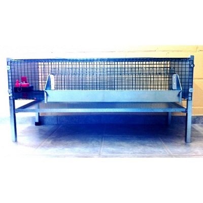 opkweekkooi kwartels 00401