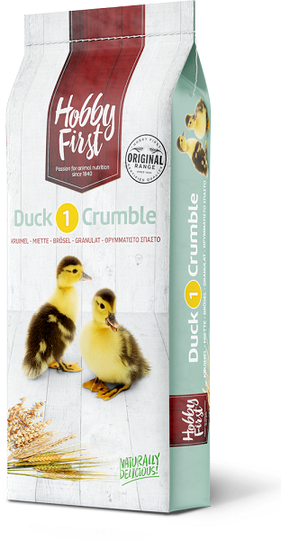 Duck 1 Kuiken kruimel 01093