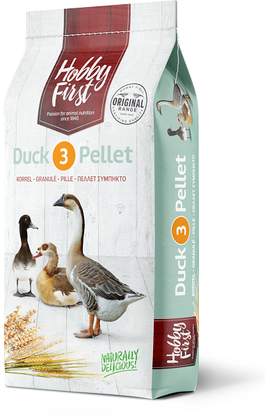 Duck 3 legkorrel 01095