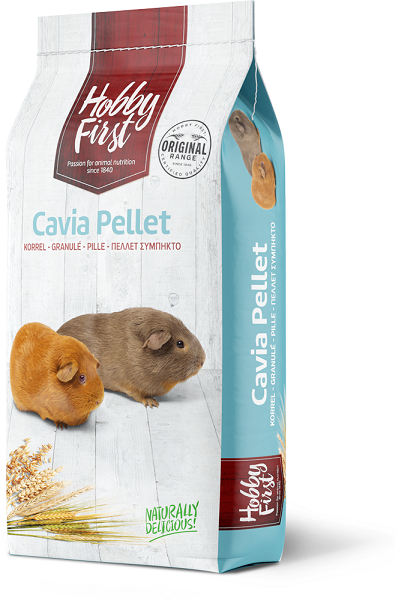 Cavia korrel 01100