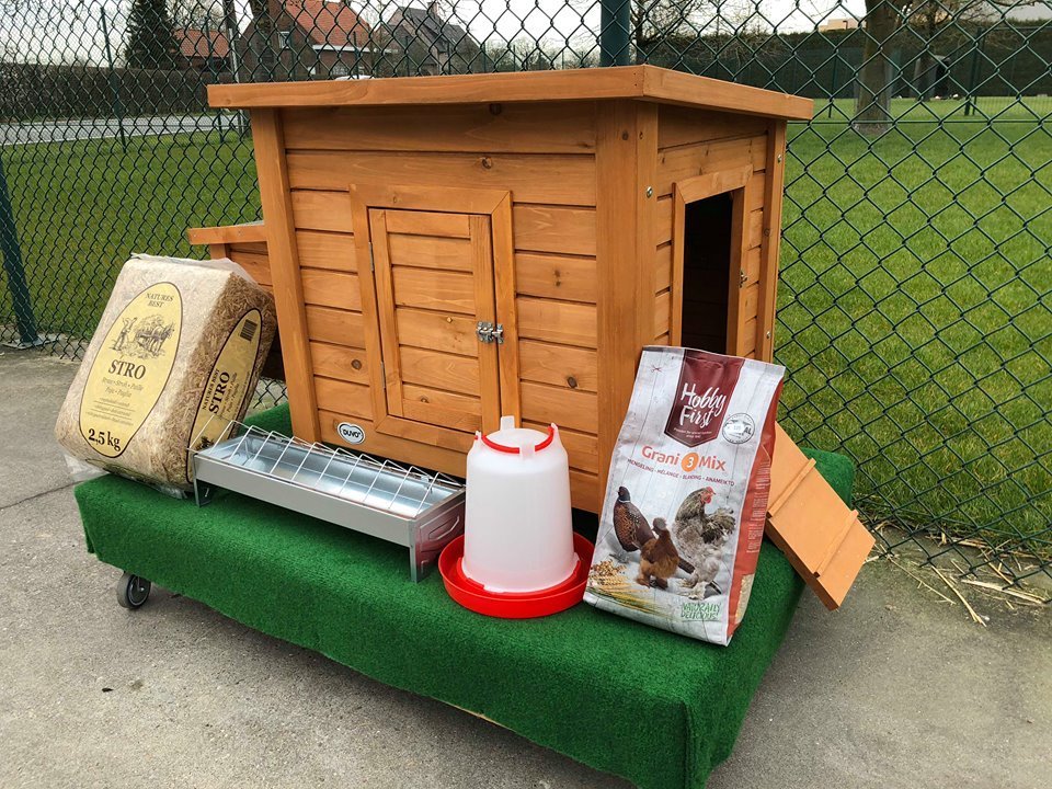 Kippenhok Skip Starterspakket 01159