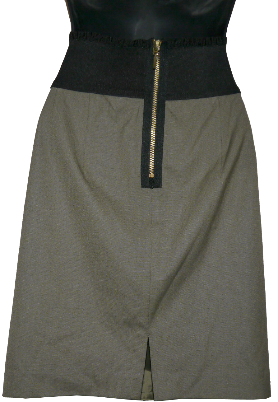 Express Skirt Back View
