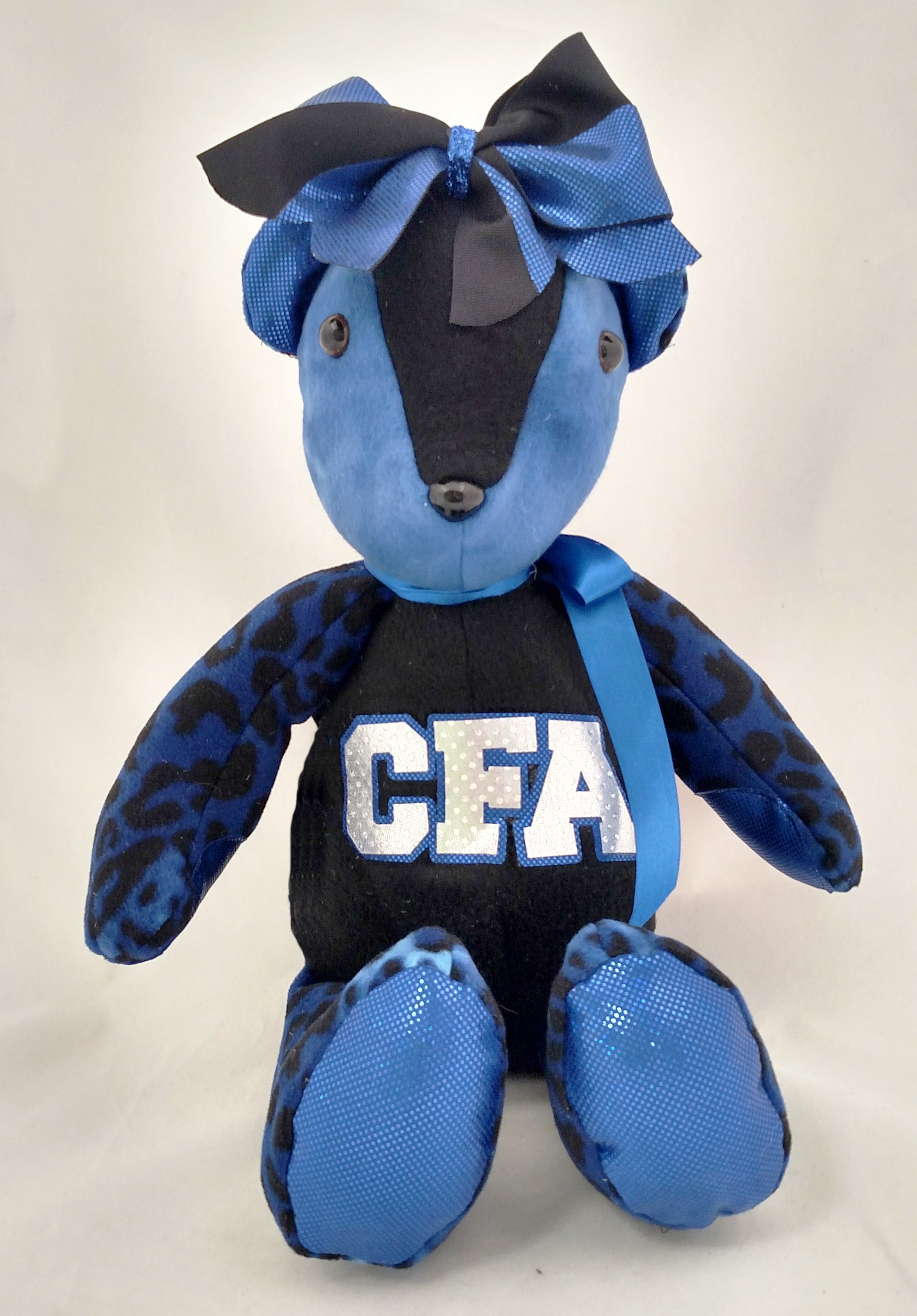 Central Florida All Stars - Spirit Bear TB-SP-CFA