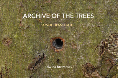 The Archive Of The Trees Book The Archive Of The Trees Book