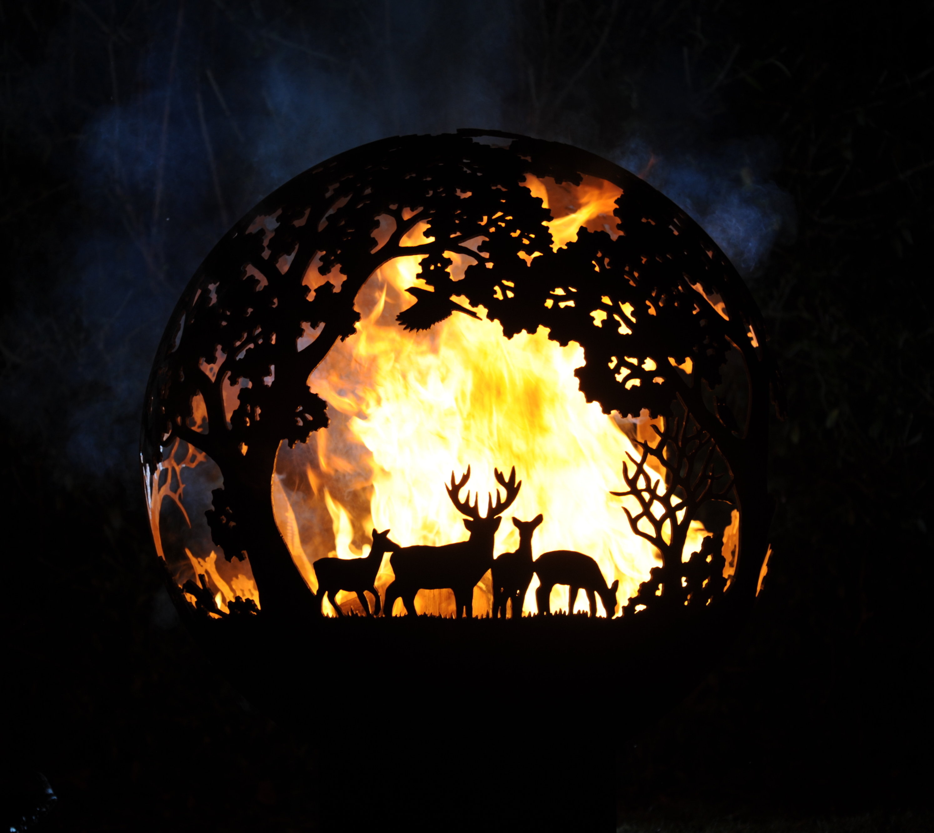 Deer herd