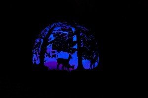 LED Lighting Kit