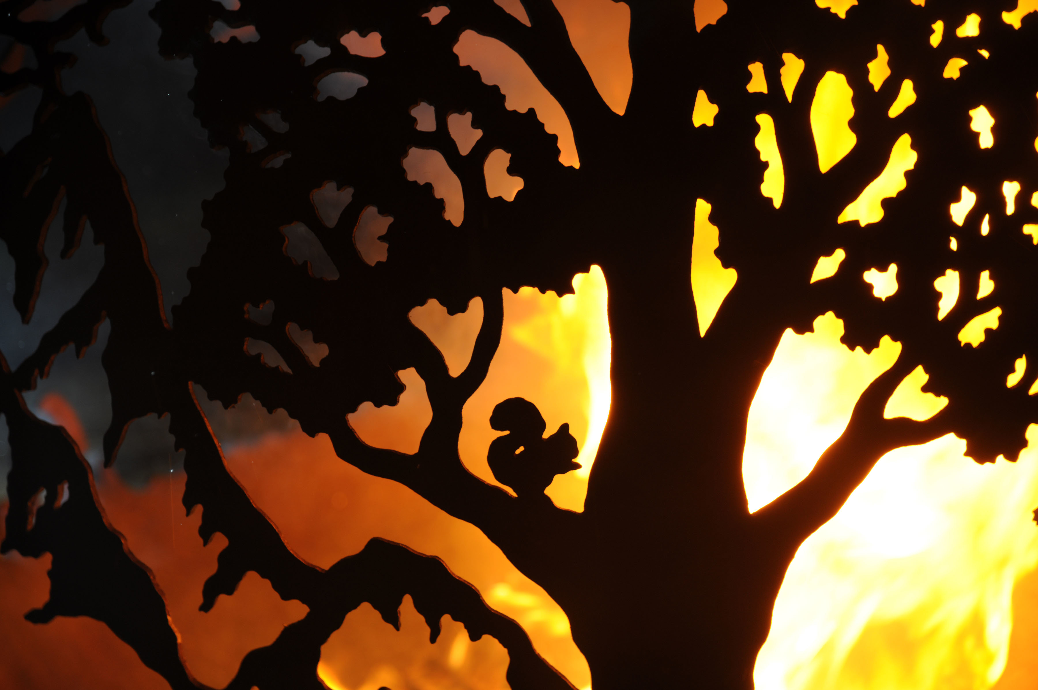 Squirrel