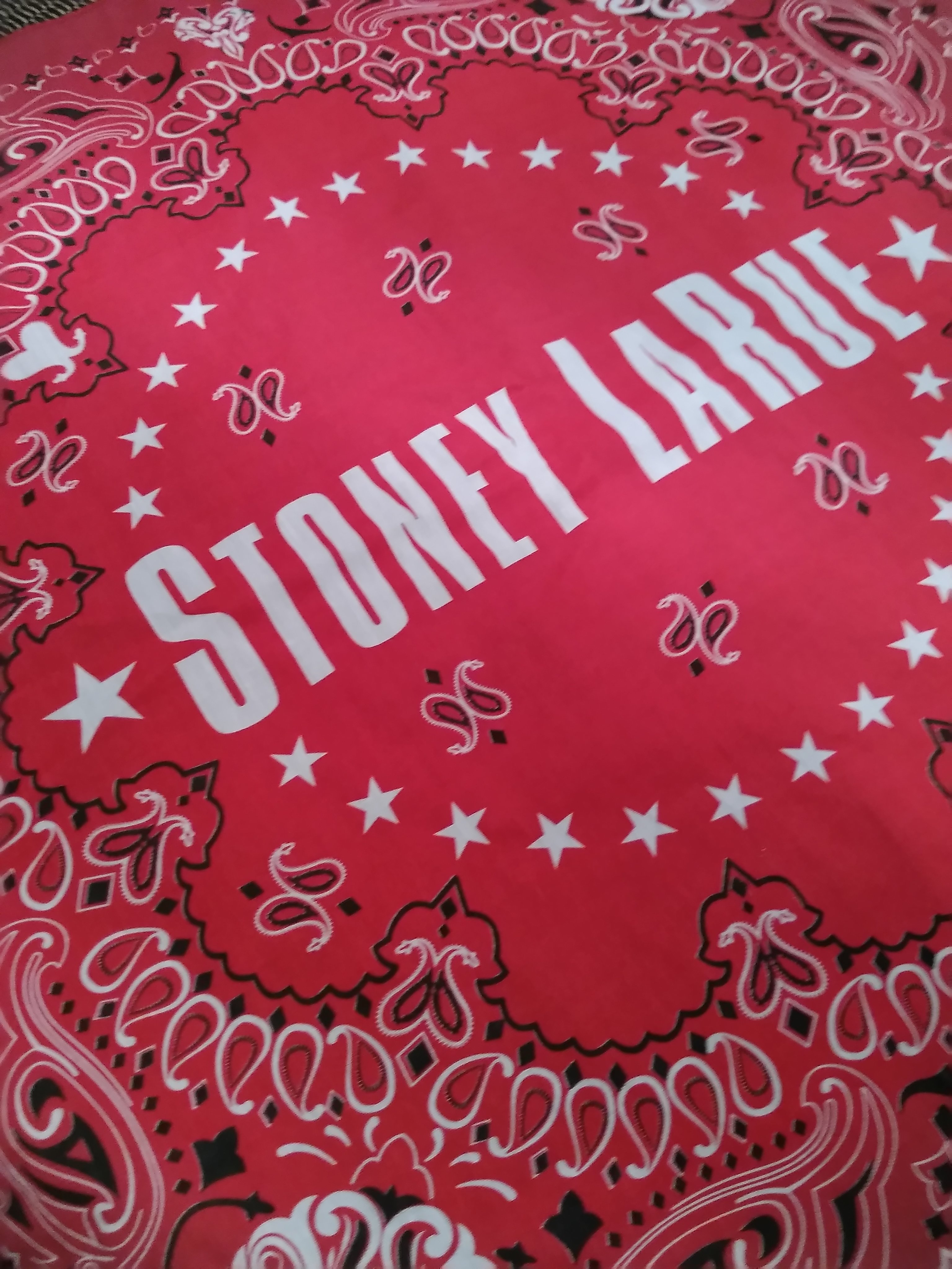 !!NEW!! Bandana: Red Skull Bandana