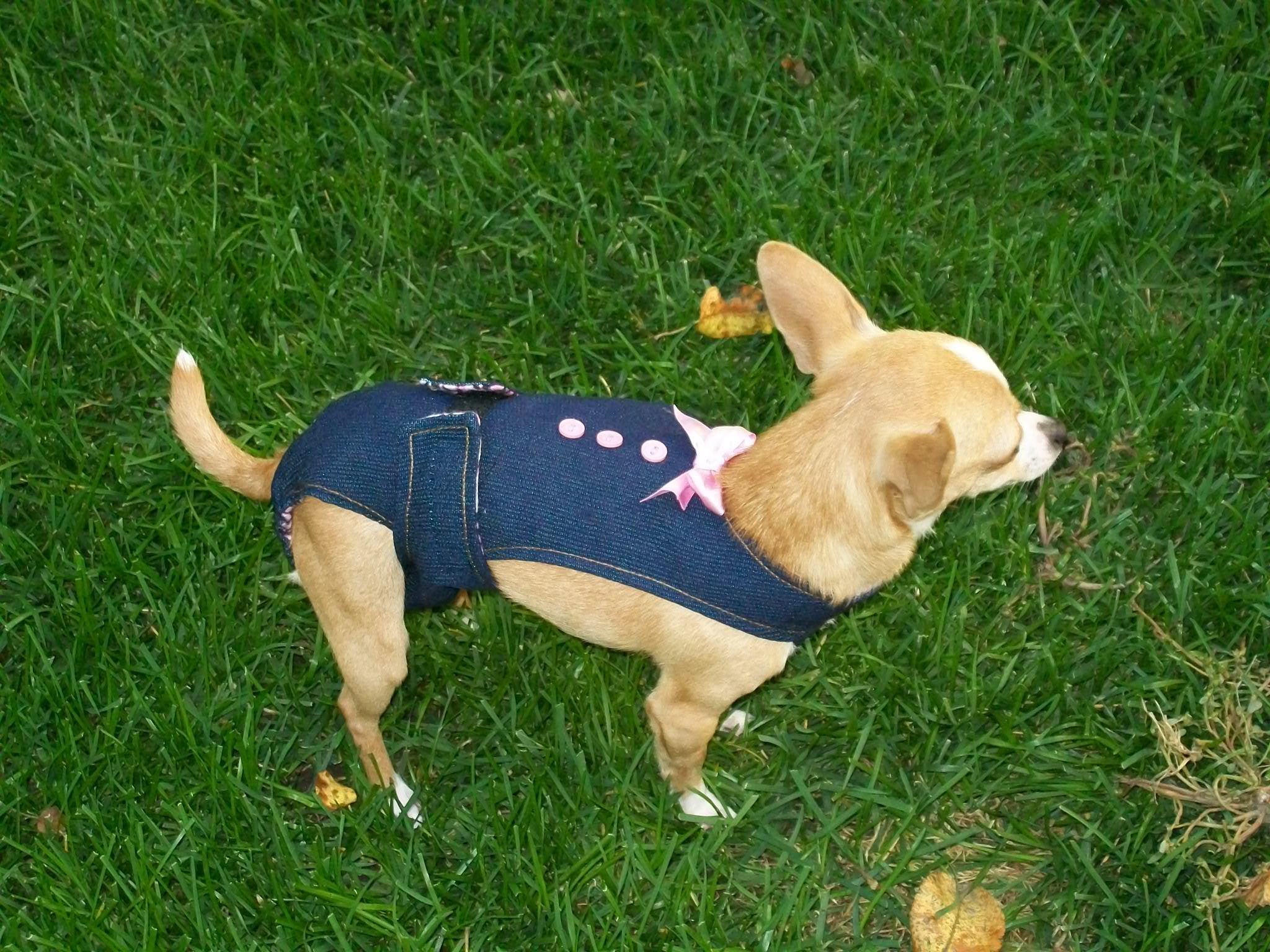 Salopettes hygiéniques pour chiens et chats