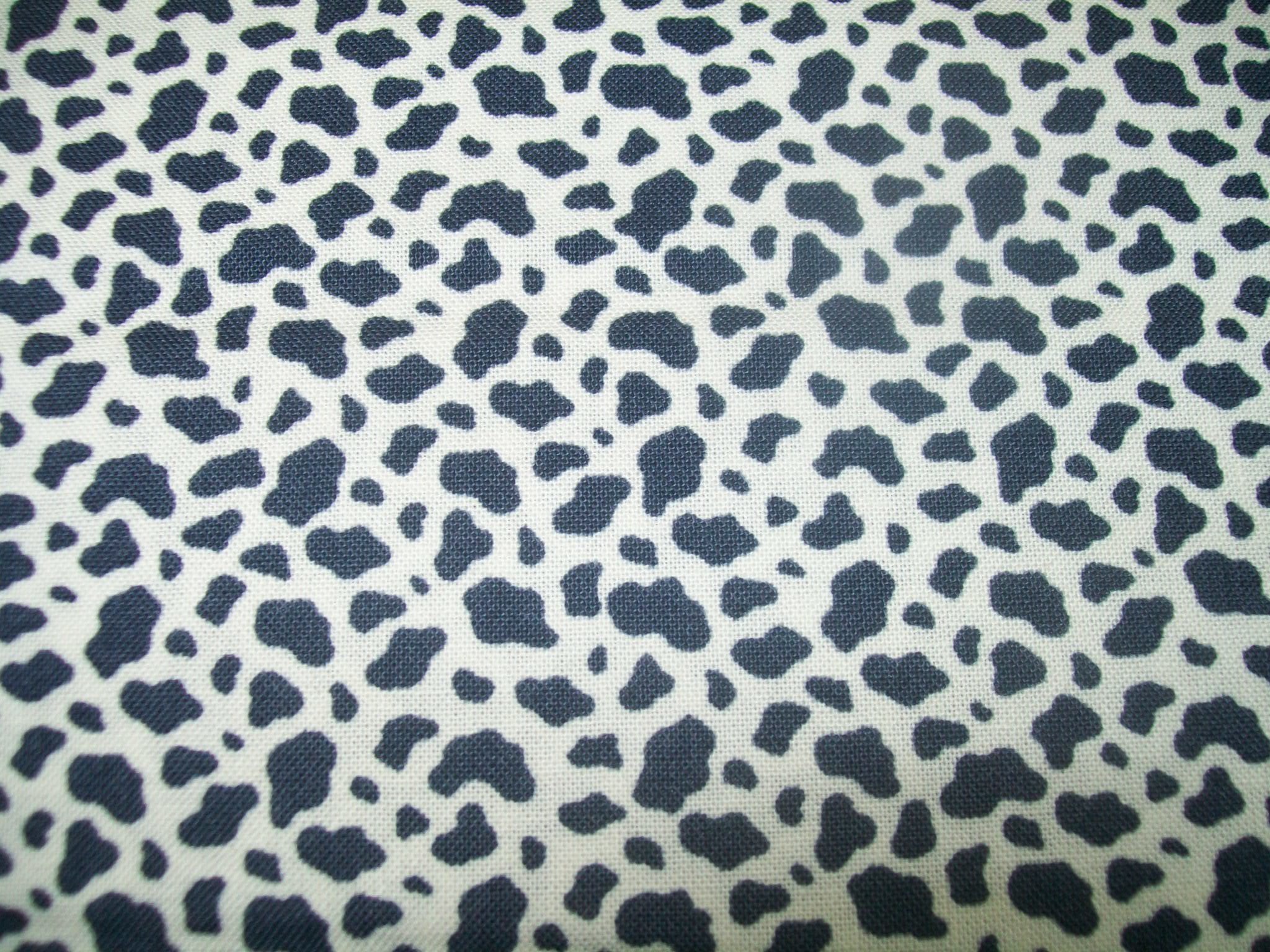 Couche culottes hygiéniques haut de gamme pour chiens femelles.