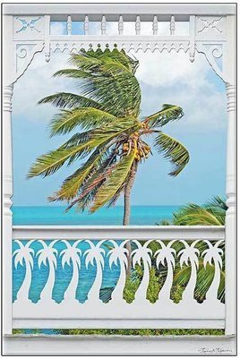 PALM PORCH * 7'' x 11''