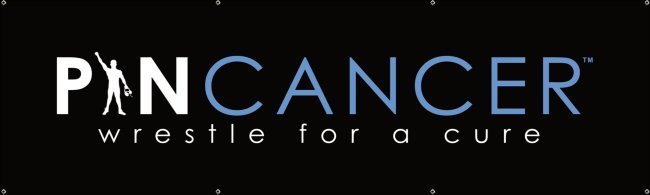 Pin Cancer Mesh Banner PCbanner