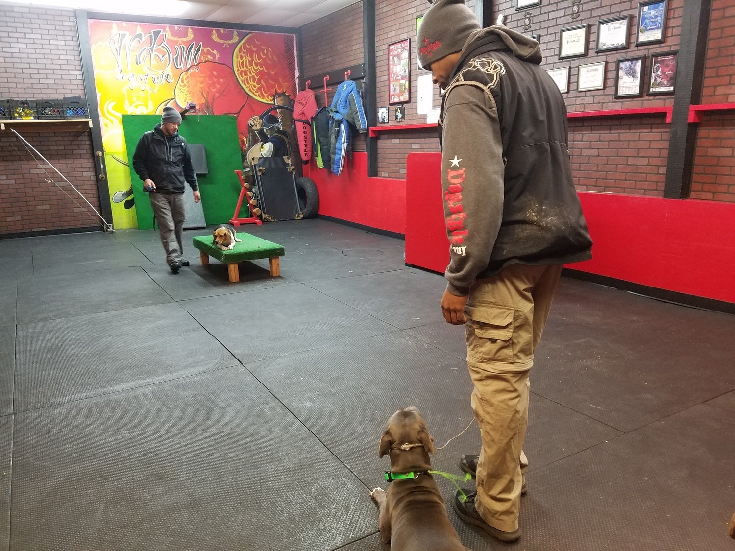 Training Consultation Fee (In Kennel) Training Consultation Fee (In Kennel)
