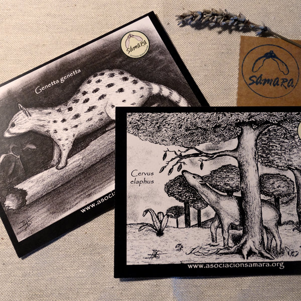 Pack de 4 Postales de fauna