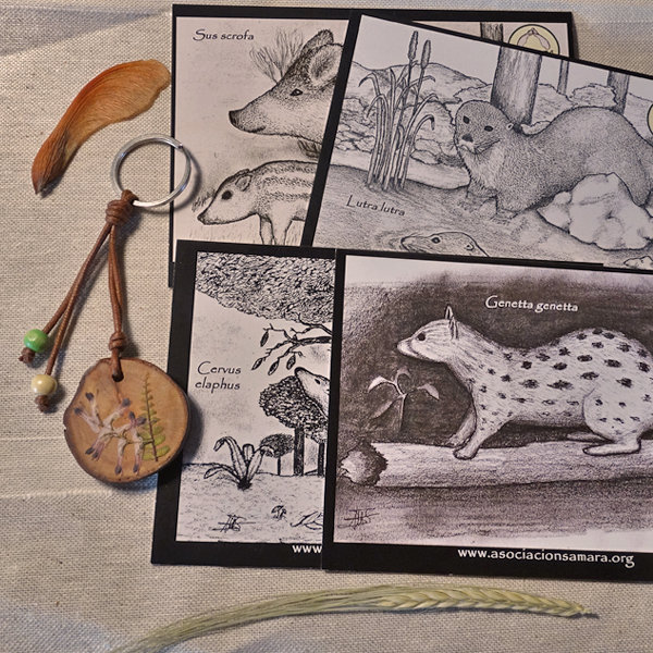 Llavero de madera y postales ilustradas de fauna 08