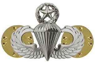 bdg/ Master Parachutist Wings - Mirror Finish (Mini Badge) 04-0005