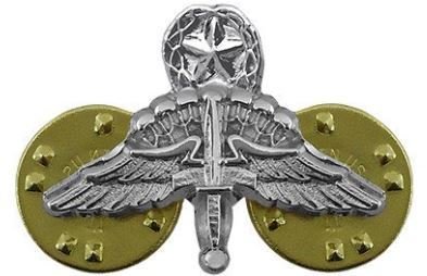 bdg/ Master HALO Wings - Mirror Finish (Mini-Badge) 04-0007