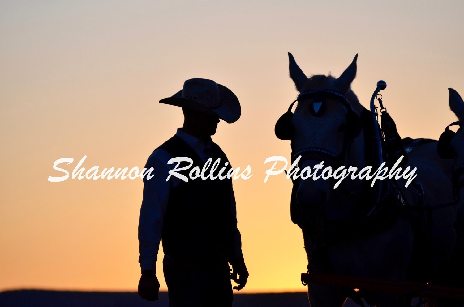 NEW! Ranch and Cowboy Photography 14