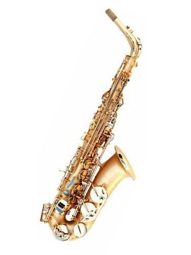 Oleg Maestro Alto Saxophone 501