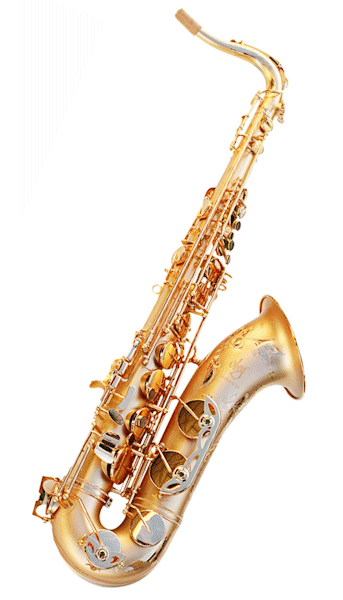 Oleg Maestro Tenor Saxophone 502