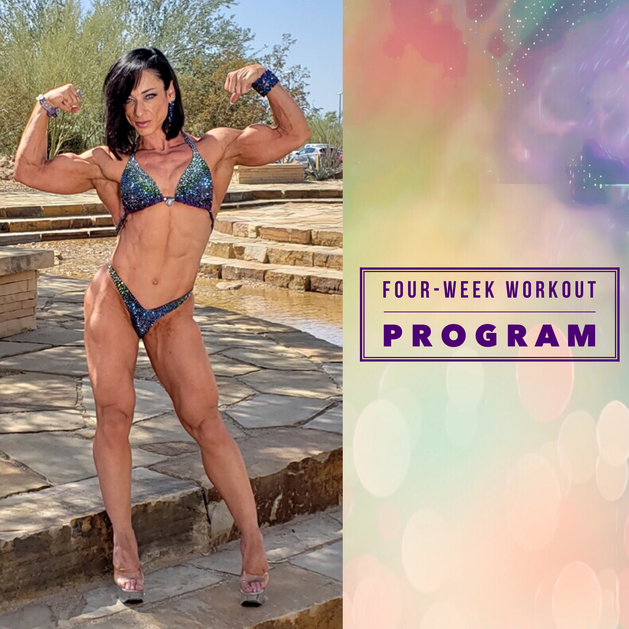 Basic Workout Plan Pre-Made in Booklet Format - 4 Days/Week - Not Customized (Consultation and Check Ins Not Included) WRKOUT001