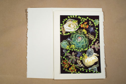 Cabbage Roses TI-GC-136