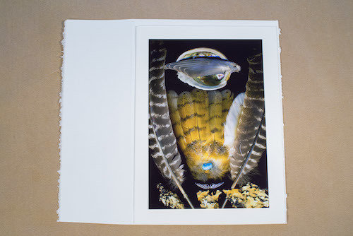 Feather Moon TI-CG-114