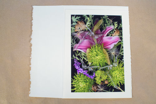 Pink Lily Fairies TI-GC-112