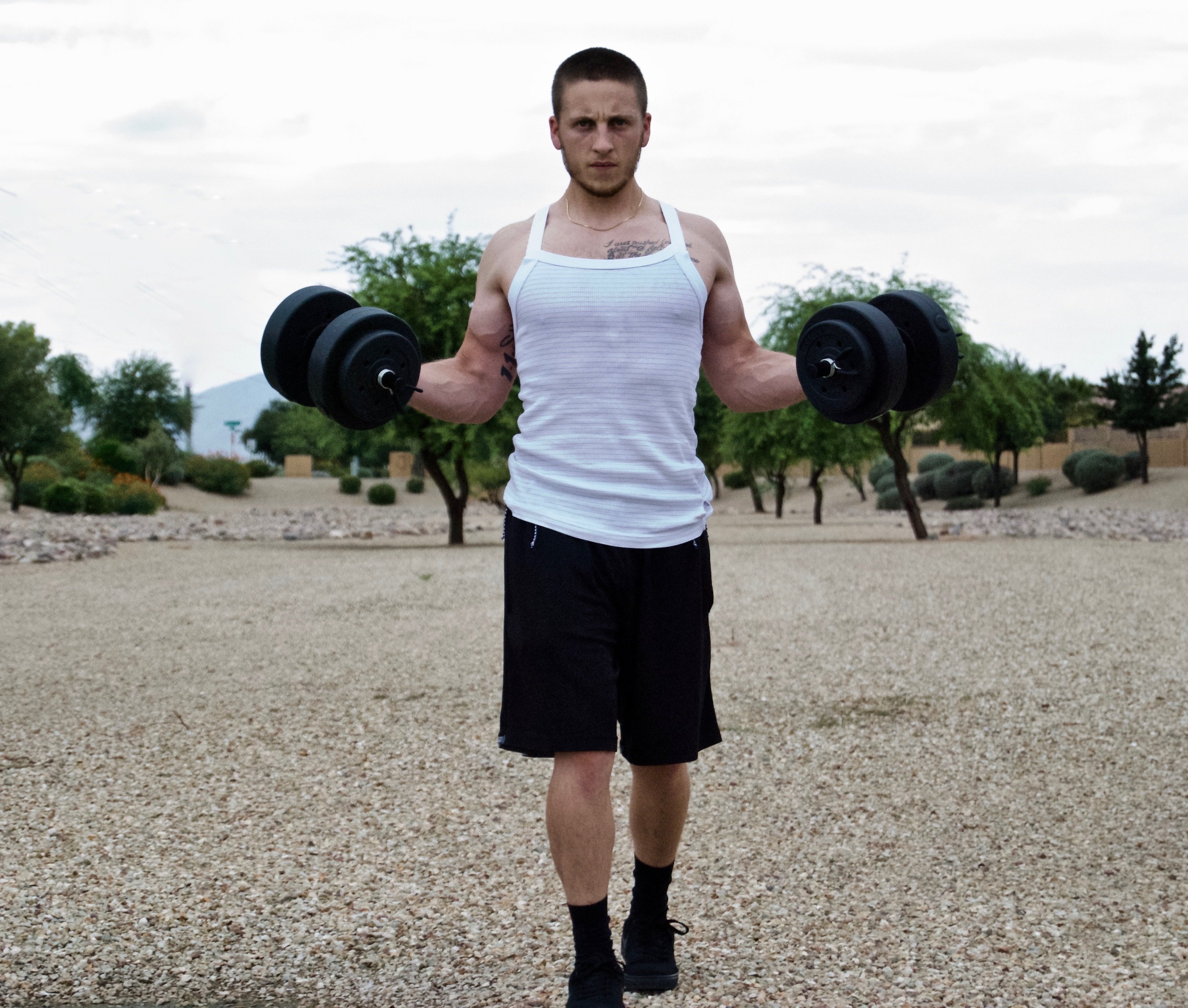 90 Day Warrior Fitness Program Warrior
