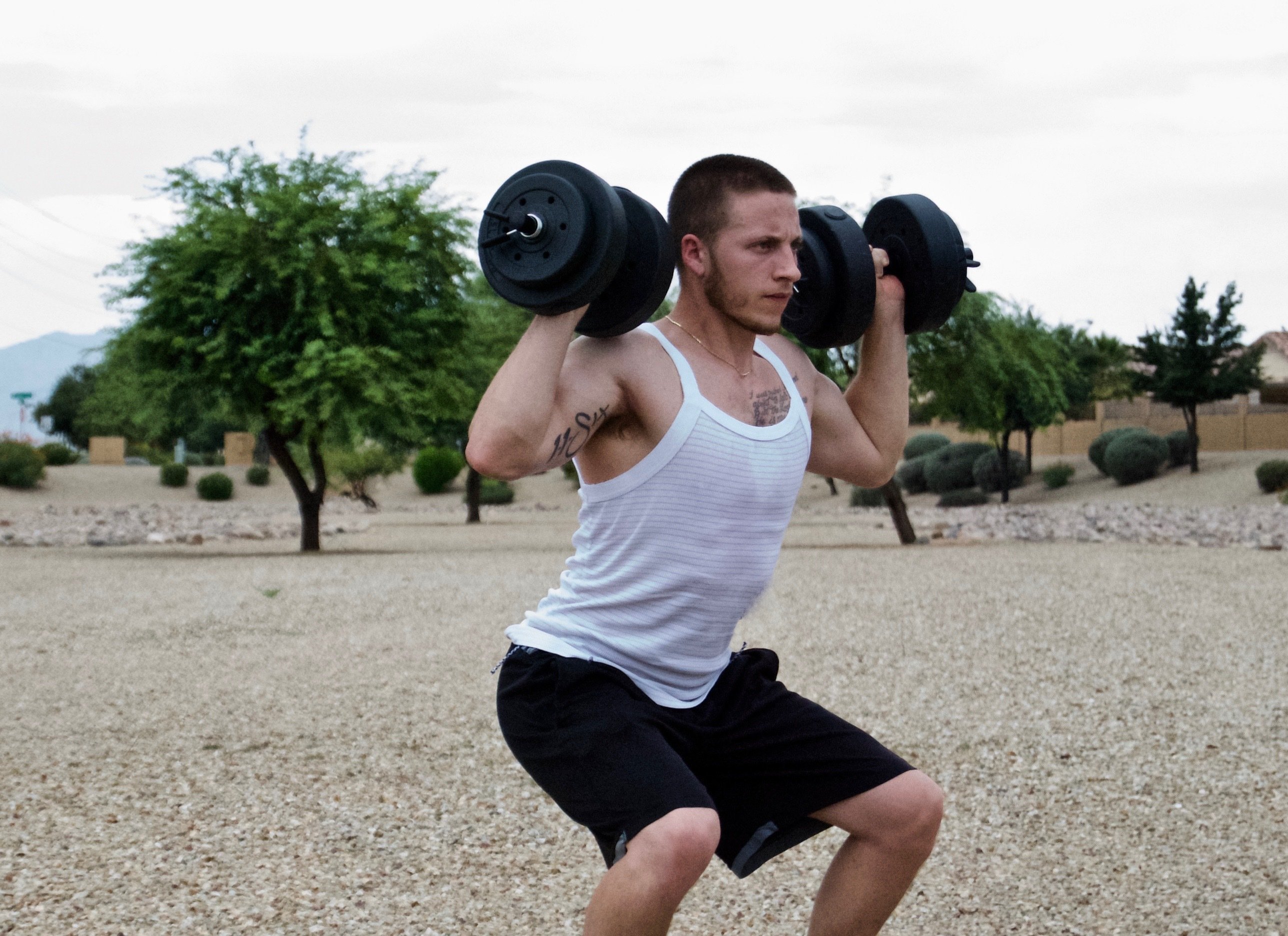 90 Day Warrior Fitness Program