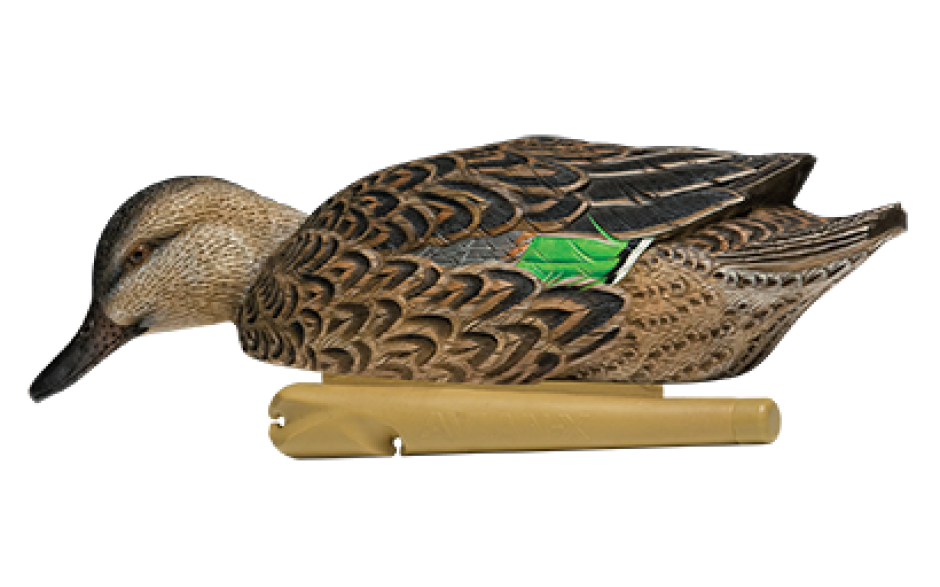 Kit Stampi Alzavola - AVIANX
