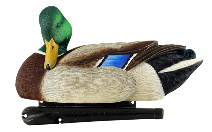 Kit Stampi Germano - AVIANX 8072