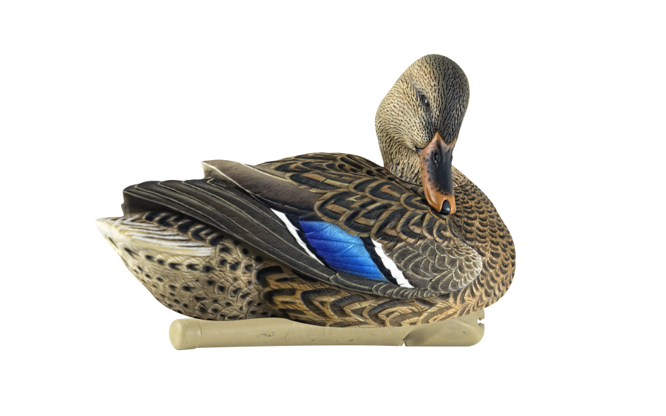 Kit Stampi Germano - AVIANX