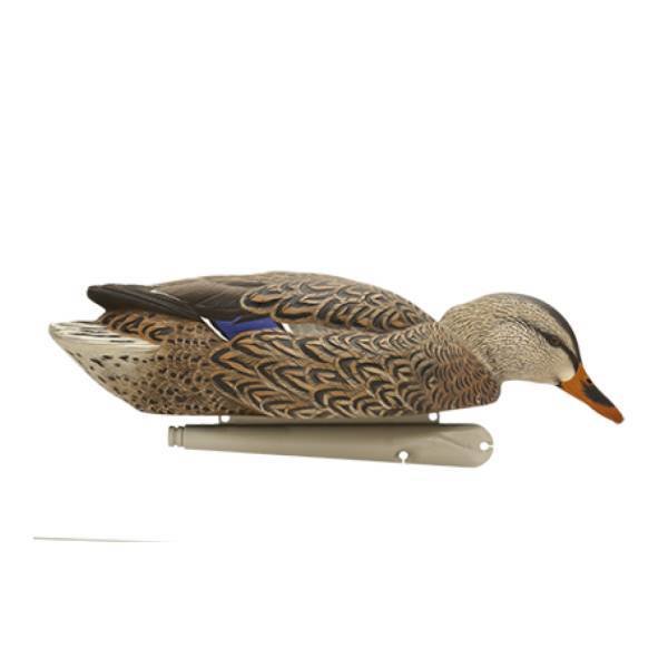 Kit Stampi Germano - AVIANX