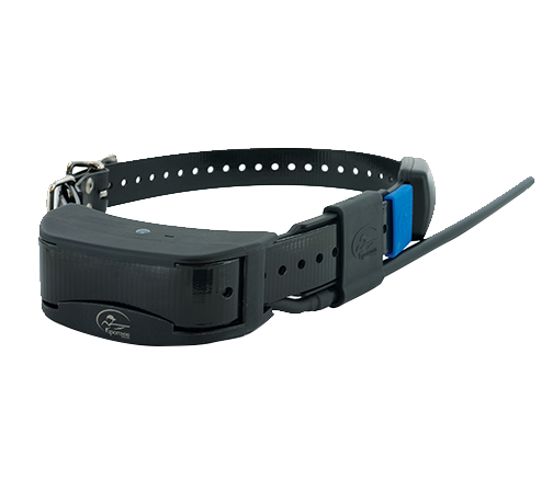Collare aggiuntivo SPORTDOG TEK2.0 GPS - CANICOM SD211