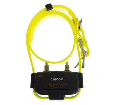 Collare Aggiuntivo 200/800/1500 - CANICOM Collare Aggiuntivo 200/800/1500 - CANICOM