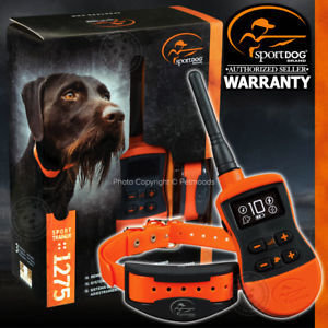 Trainer 1275 - SPORTDOG
