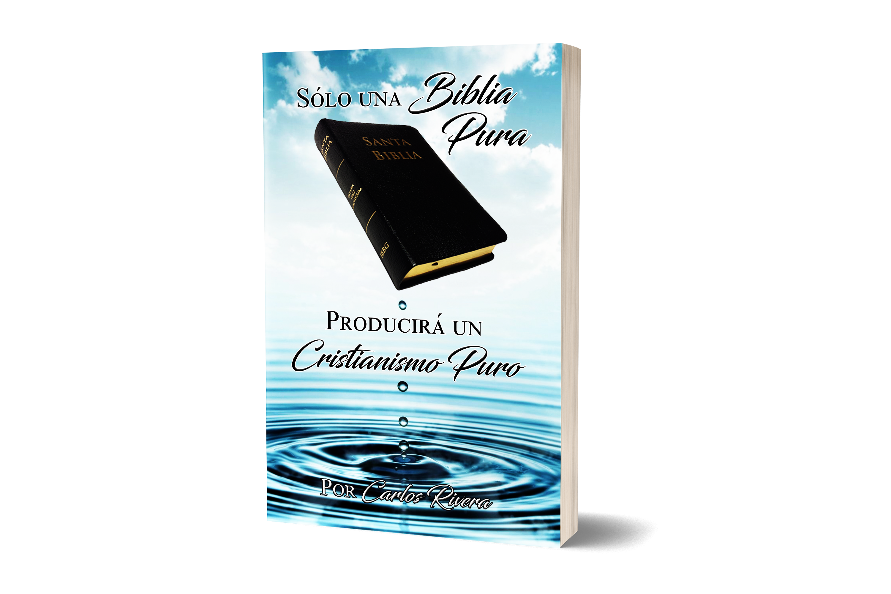 Sólo una Biblia Pura... B1